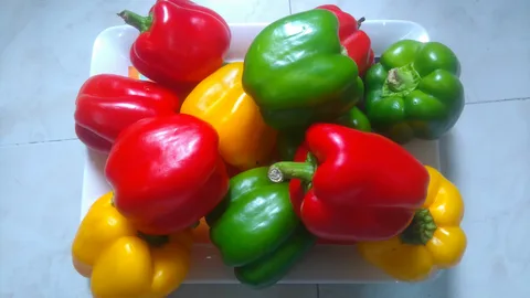 تصویر 1 از فلفل دلمه شیرین ساختار ترد رایحه خفیف تازه